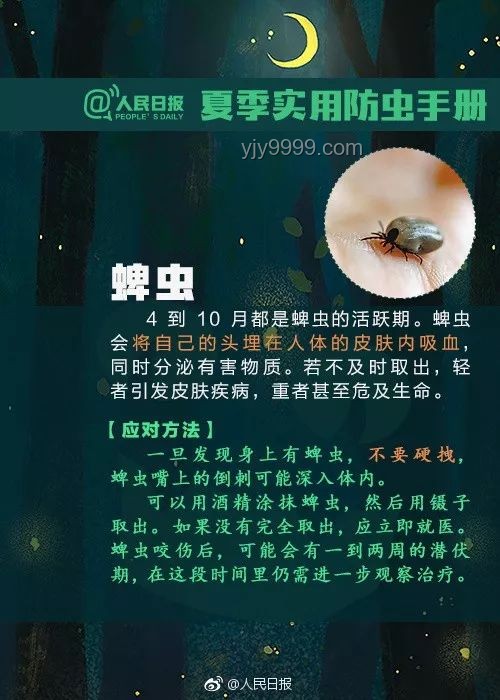 我退圈了！实用退圈指南：有序告别，优雅转身